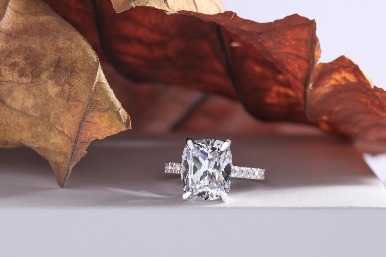 a platinum engagement ring on a white stand sitting under brown leaves